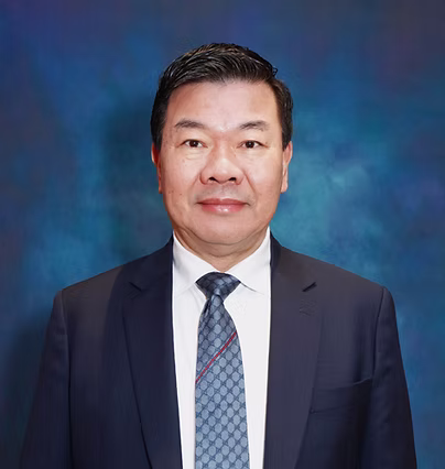 刘若进